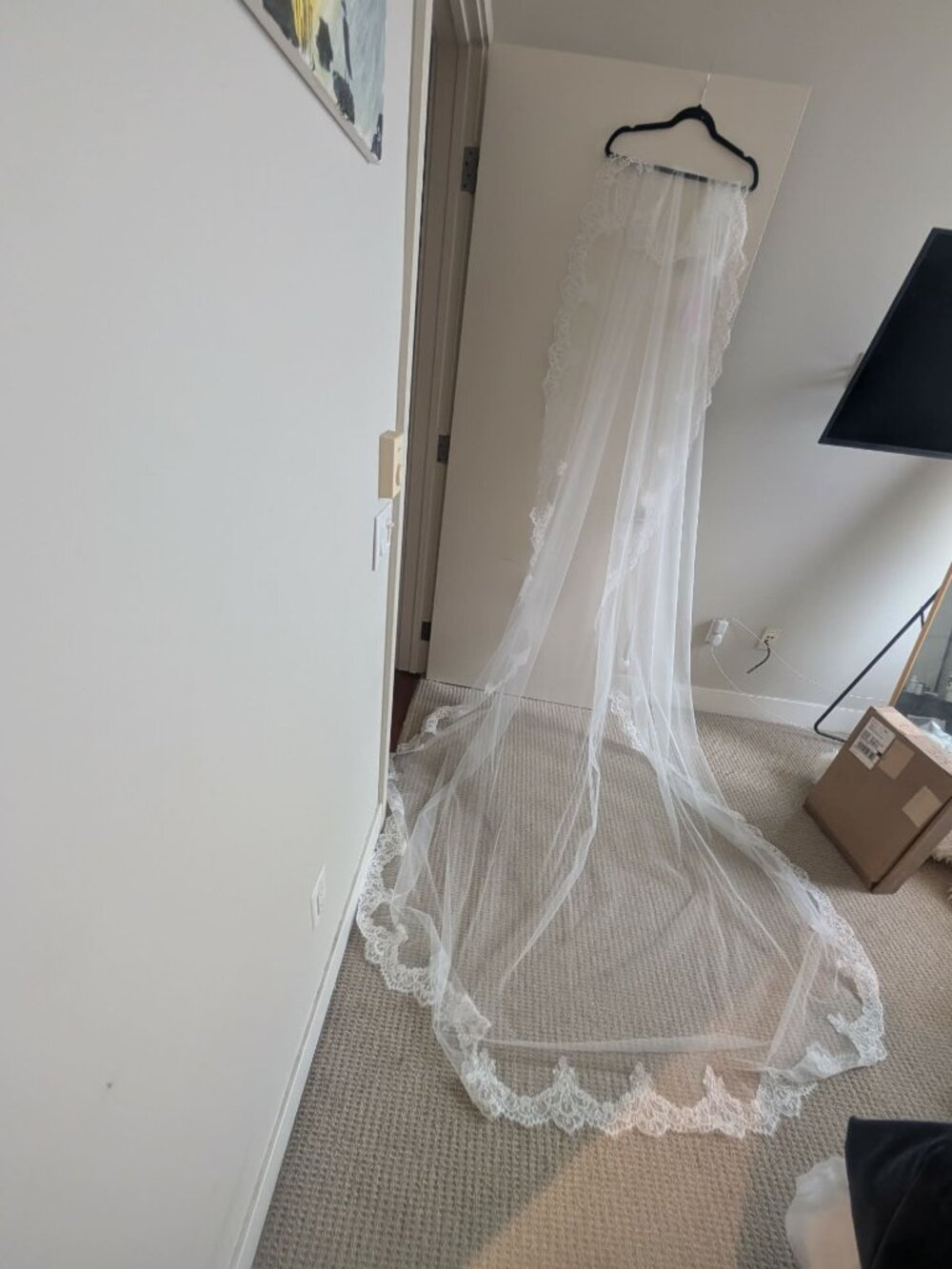 BRAND NEW | Cathedral Italian Tulle Mantilla Veil | Light ivory Lace-Edged